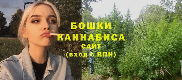 стаф Няндома