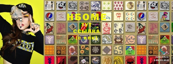 стаф Няндома