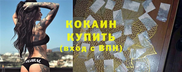 стаф Няндома