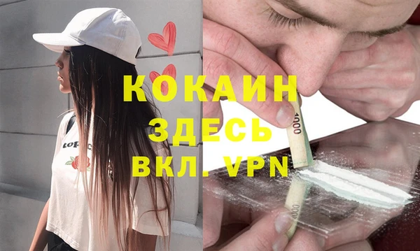 стаф Няндома