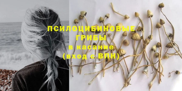 первитин Нягань