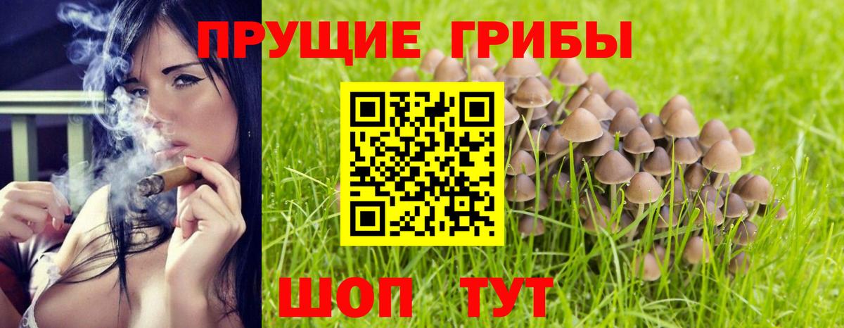 Альфа ПВП Елец